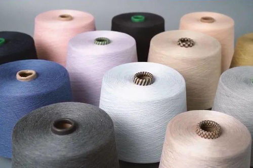 柯橋先行示范之路 瞄準“雙碳”目標，加速綠色轉型推動共同富裕